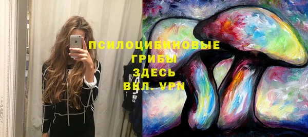 винт Балахна
